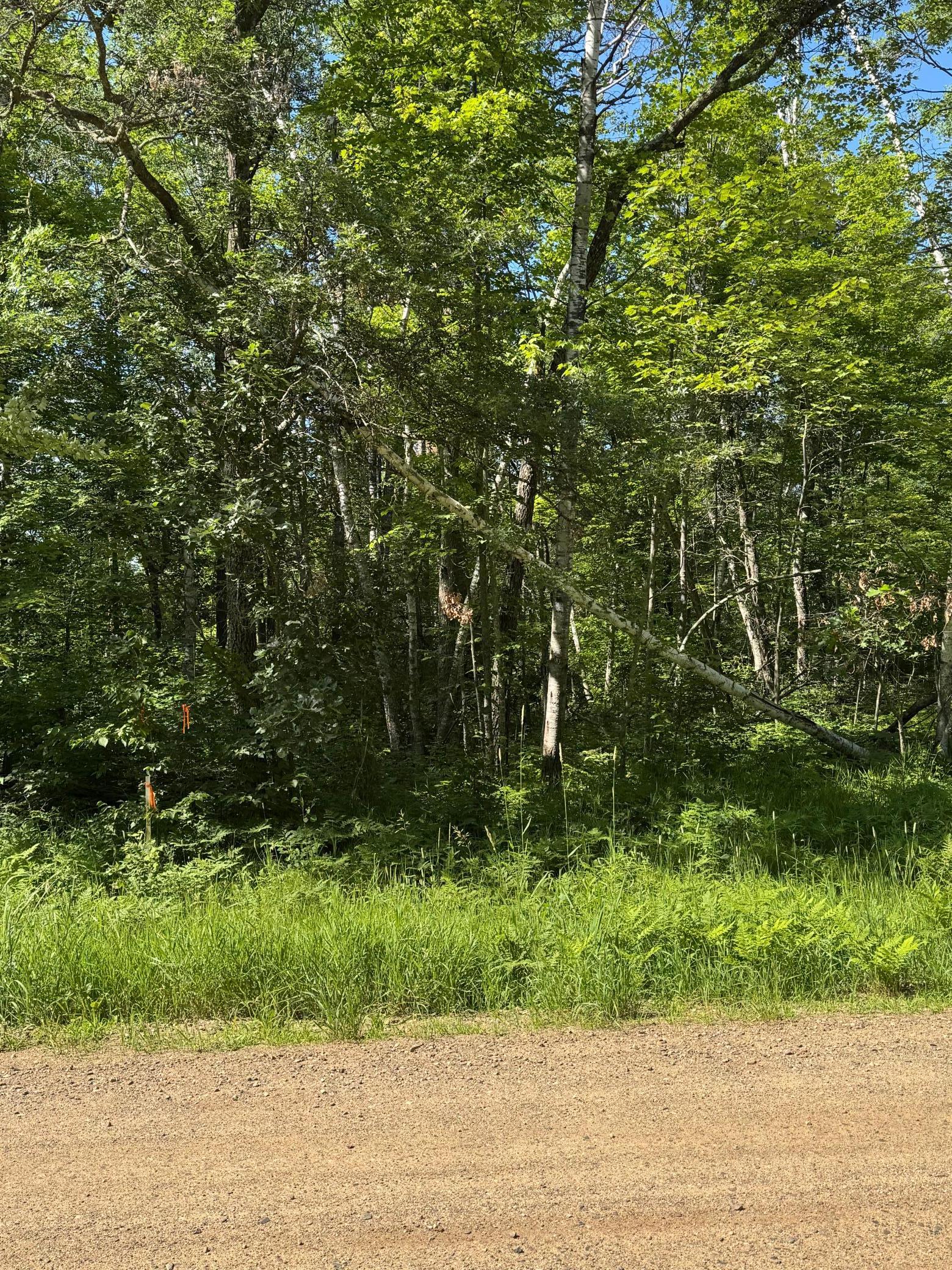 TBD Blue Ridge Drive