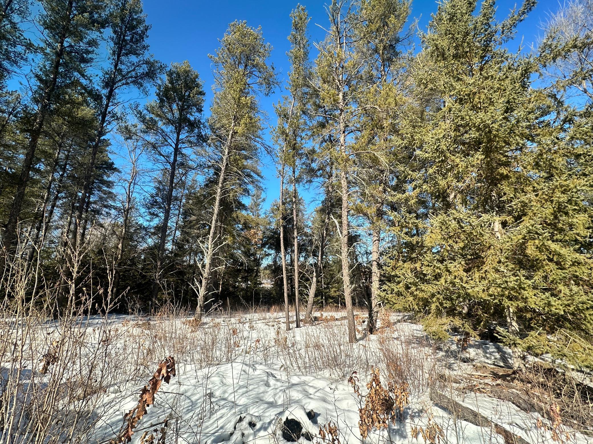 TBD E Blueberry River Dr