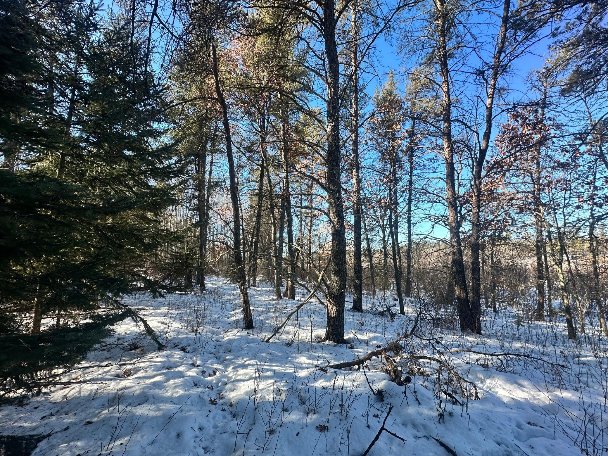 TBD E Blueberry River Dr