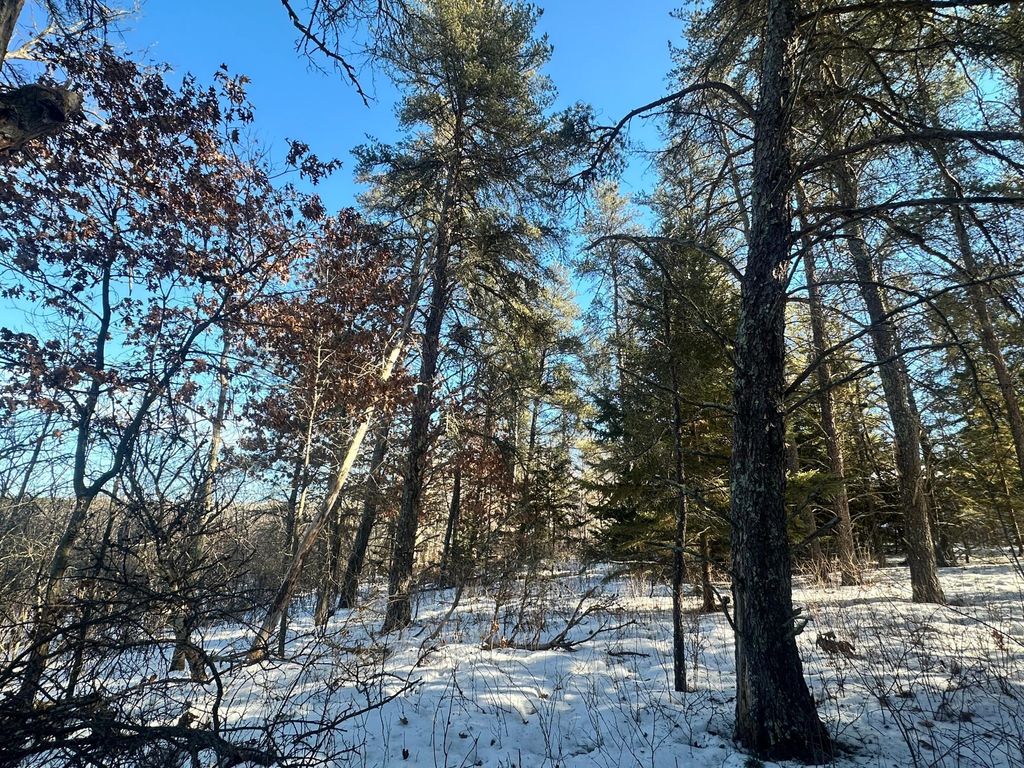 Photo of TBD E Blueberry River Dr, Menahga, MN 56464 (MLS # 7020041)