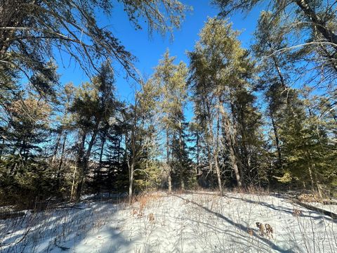 TBD E Blueberry River Dr Menahga MN 56464