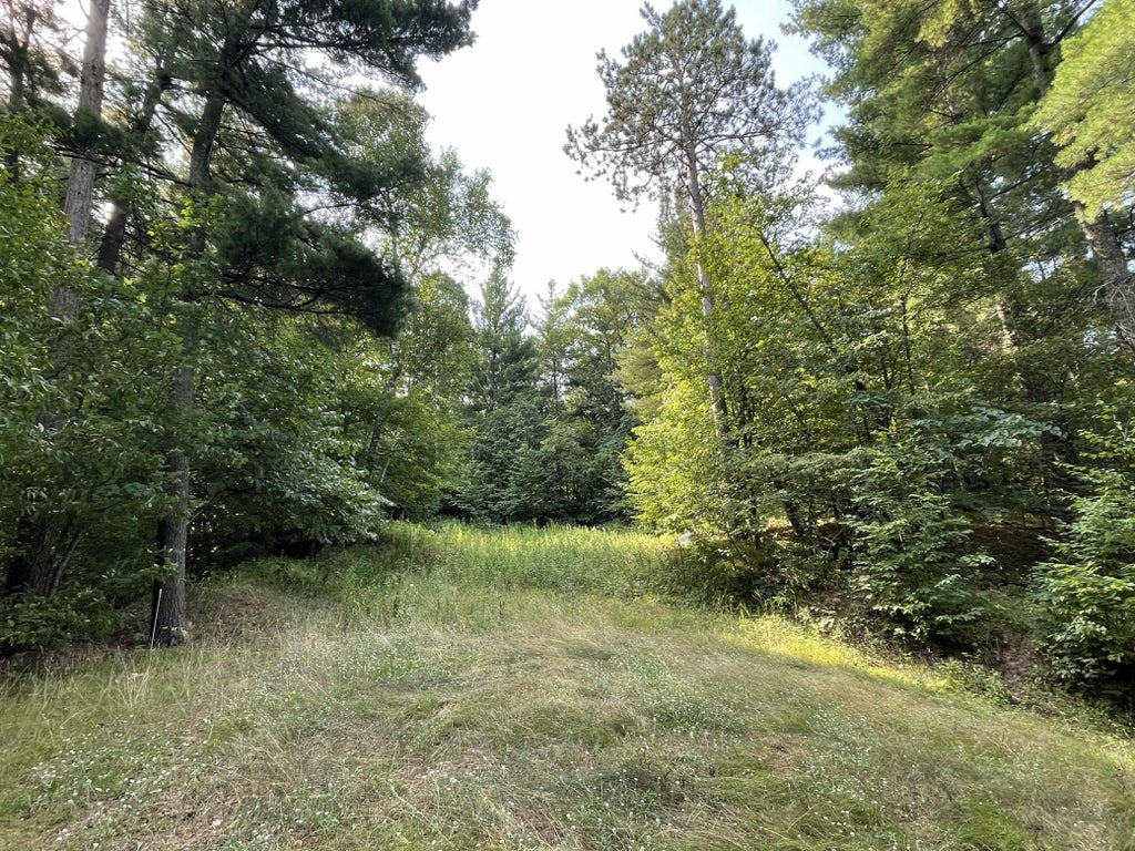 Photo of 16574 Riverside Drive, Brainerd, MN 56401 (MLS # 7123539)