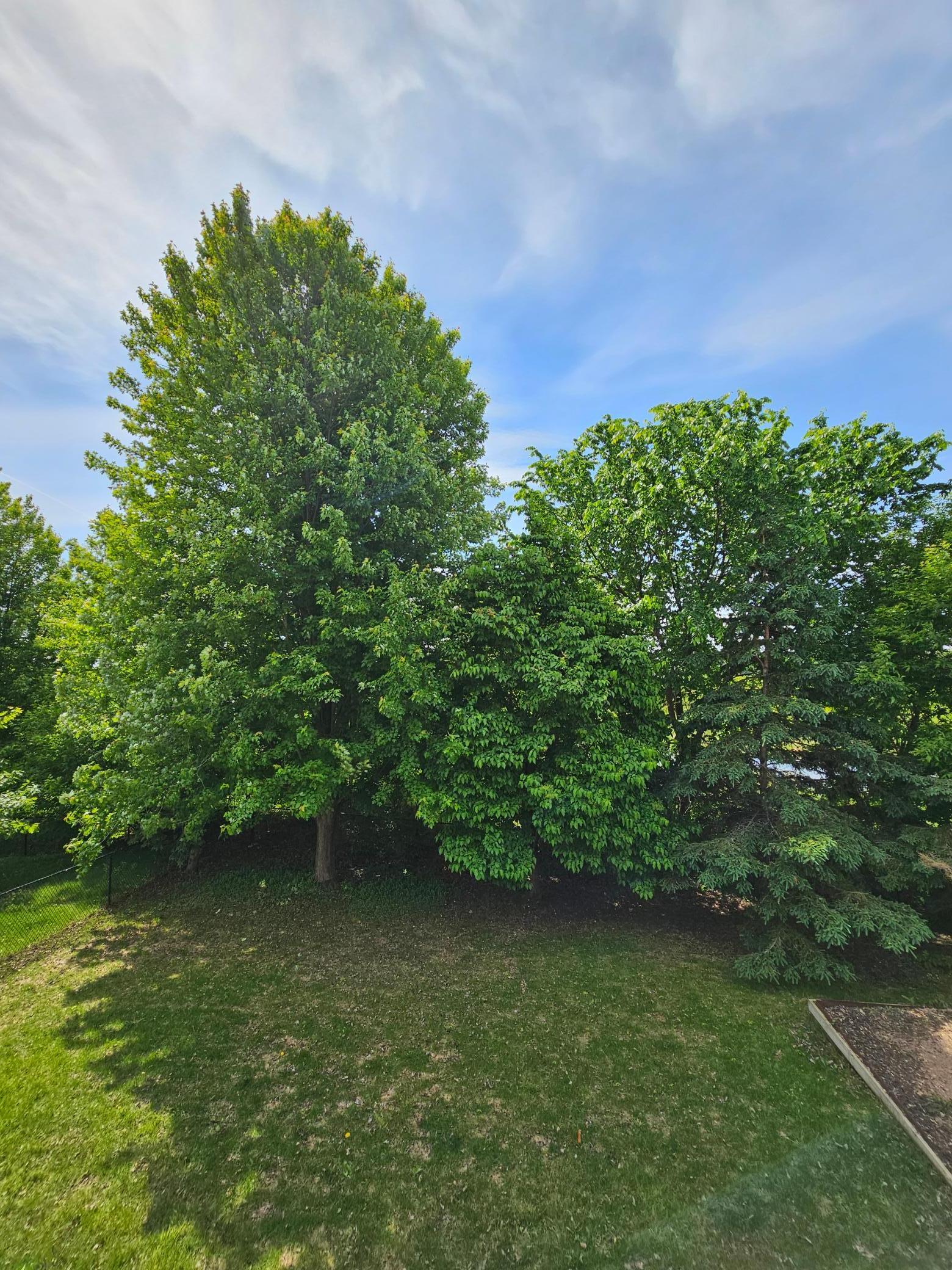 4629 Empress Way N