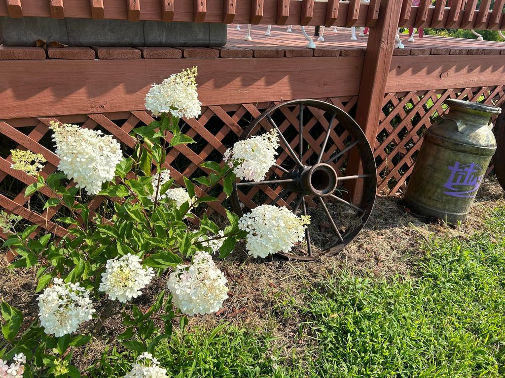 Photo of 7005 County Road 82 SE, Alexandria, MN 56308 (MLS # 7017511)