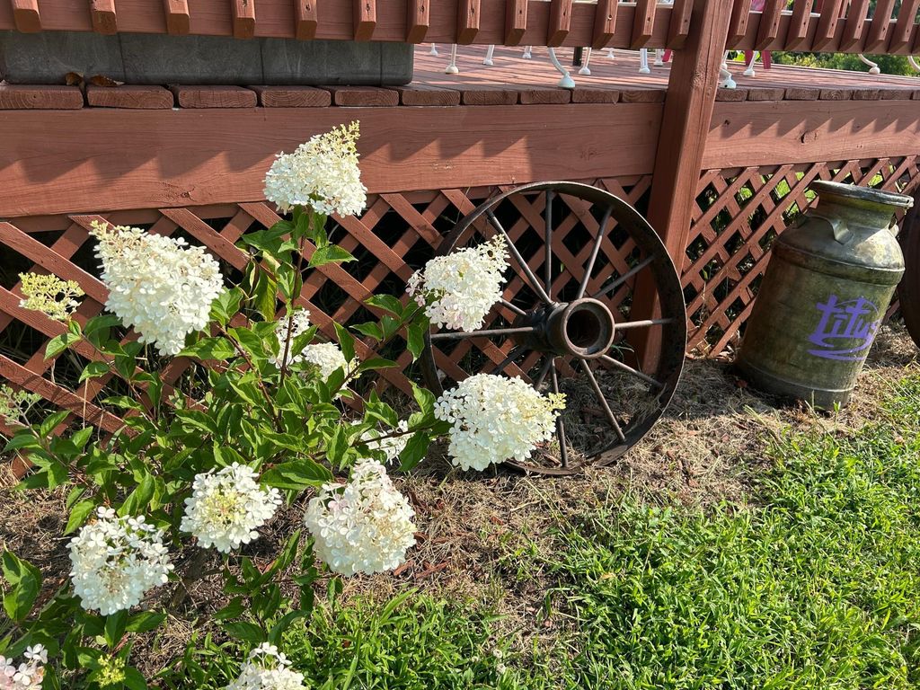 Photo of 7005 County Road 82 SE, Alexandria, MN 56308 (MLS # 7017511)