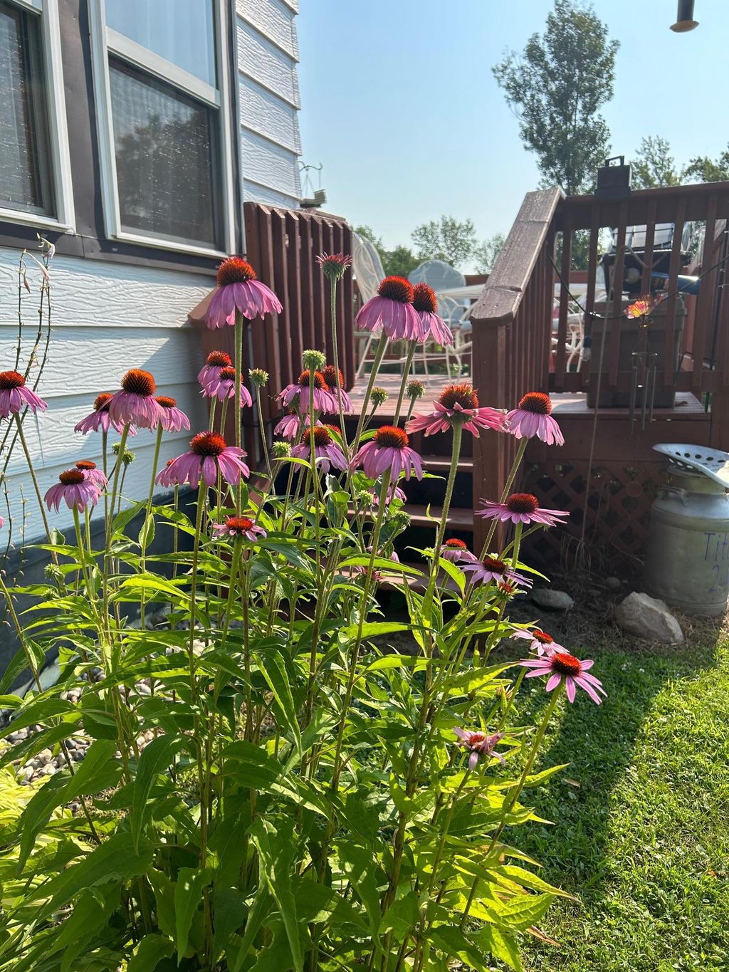 Photo of 7005 County Road 82 SE, Alexandria, MN 56308 (MLS # 7017511)