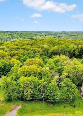 1ST ST, TAYLORS FALLS, MN 55084 - Image 9cf2f624ae265315d400a6f5f64bad9f/1153375348