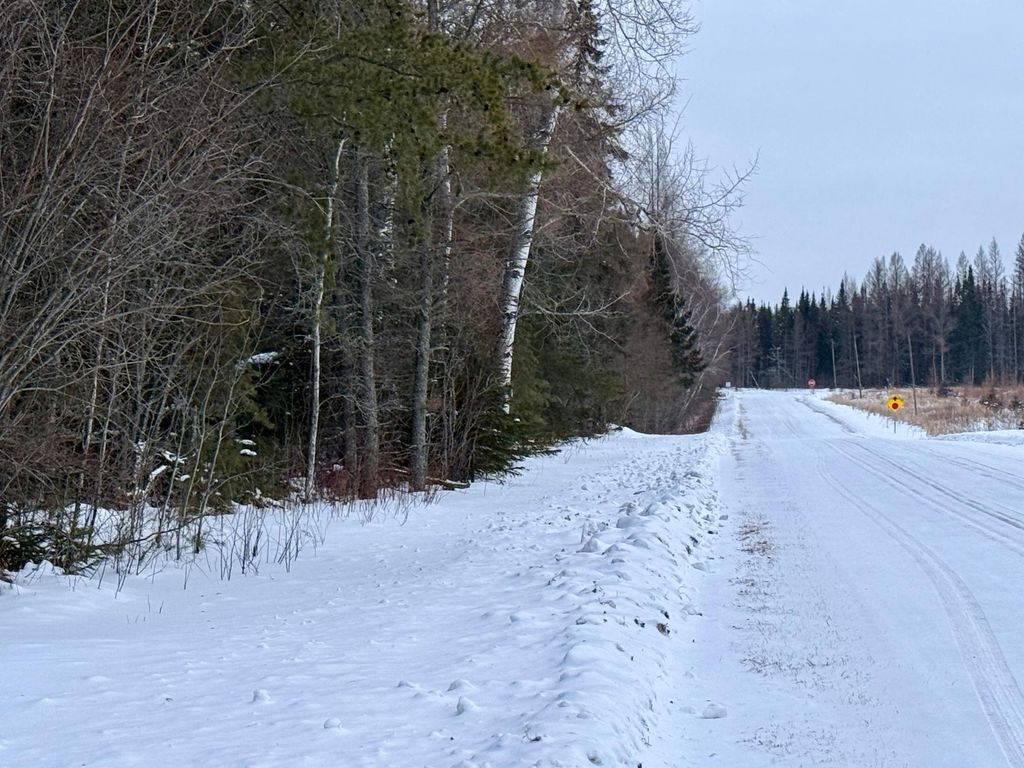 Photo of TBD Heino Rd, Angora, MN 55703 (MLS # 7014858)