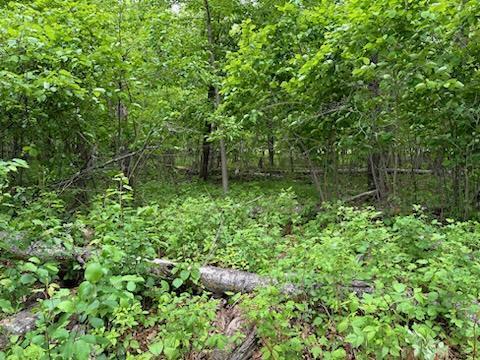 TBD Lot 3 Block 2 Spruce Circle Grand View Lodge