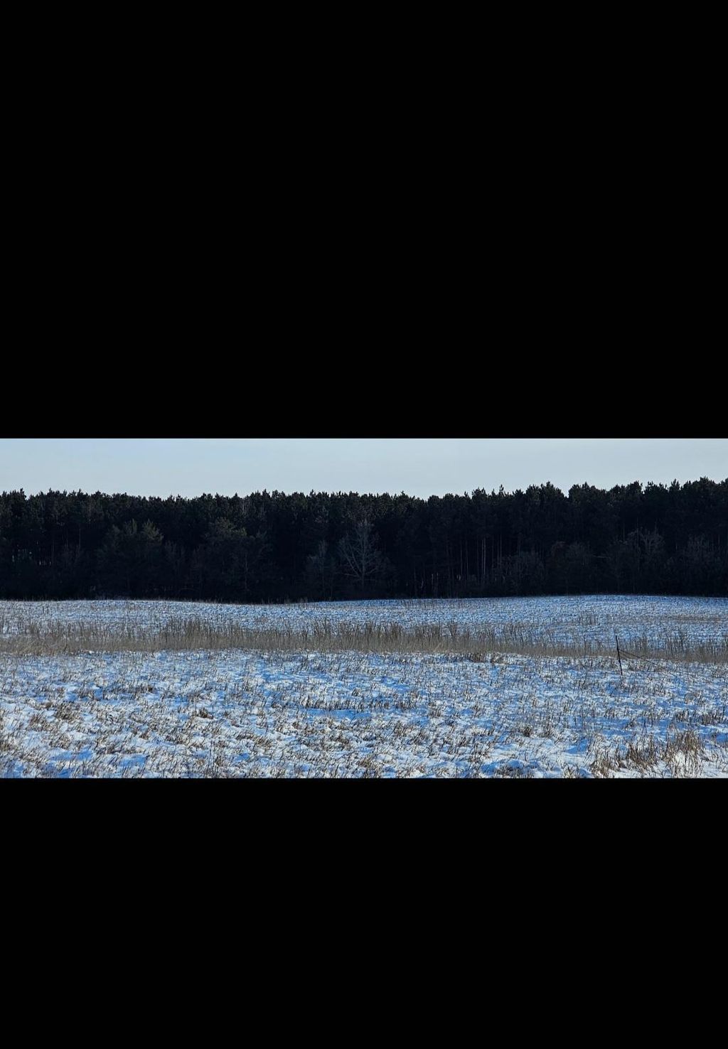 Photo of TBD 219th, Nevis, MN 56467 (MLS # 6825472)