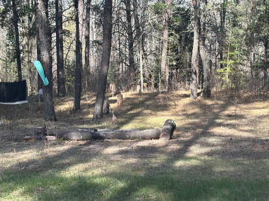 ARBOR RD, PARK RAPIDS, MN 56470 - Image 9da687d474d5eb07da2ff83af61cd5a1/1423523928
