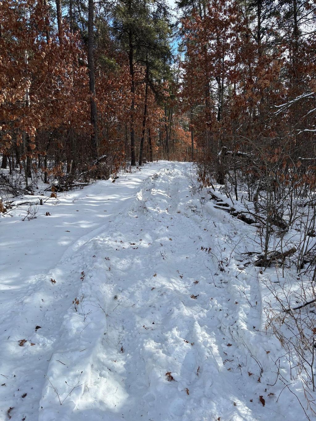 Photo of TBD Arbor Road, Park Rapids, MN 56470 (MLS # 7025158)