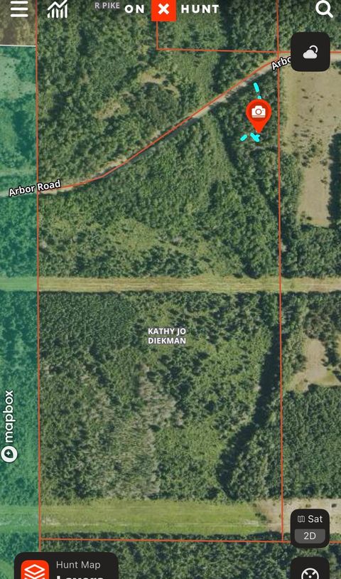 TBD Arbor Road Park Rapids MN 56470