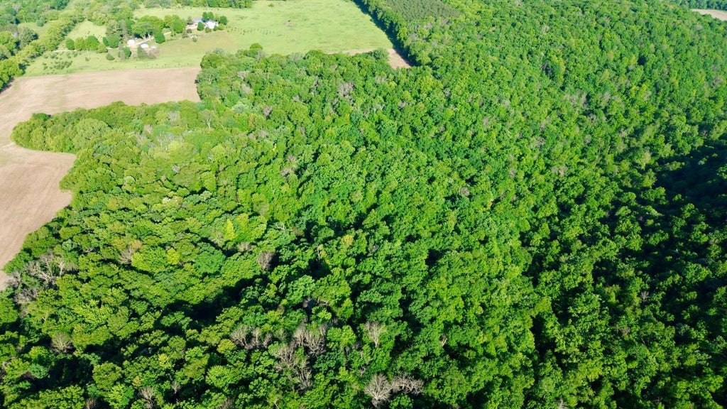 Photo of TBD 160th Avenue, Salem Twp, WI 54750 (MLS # 7116019)