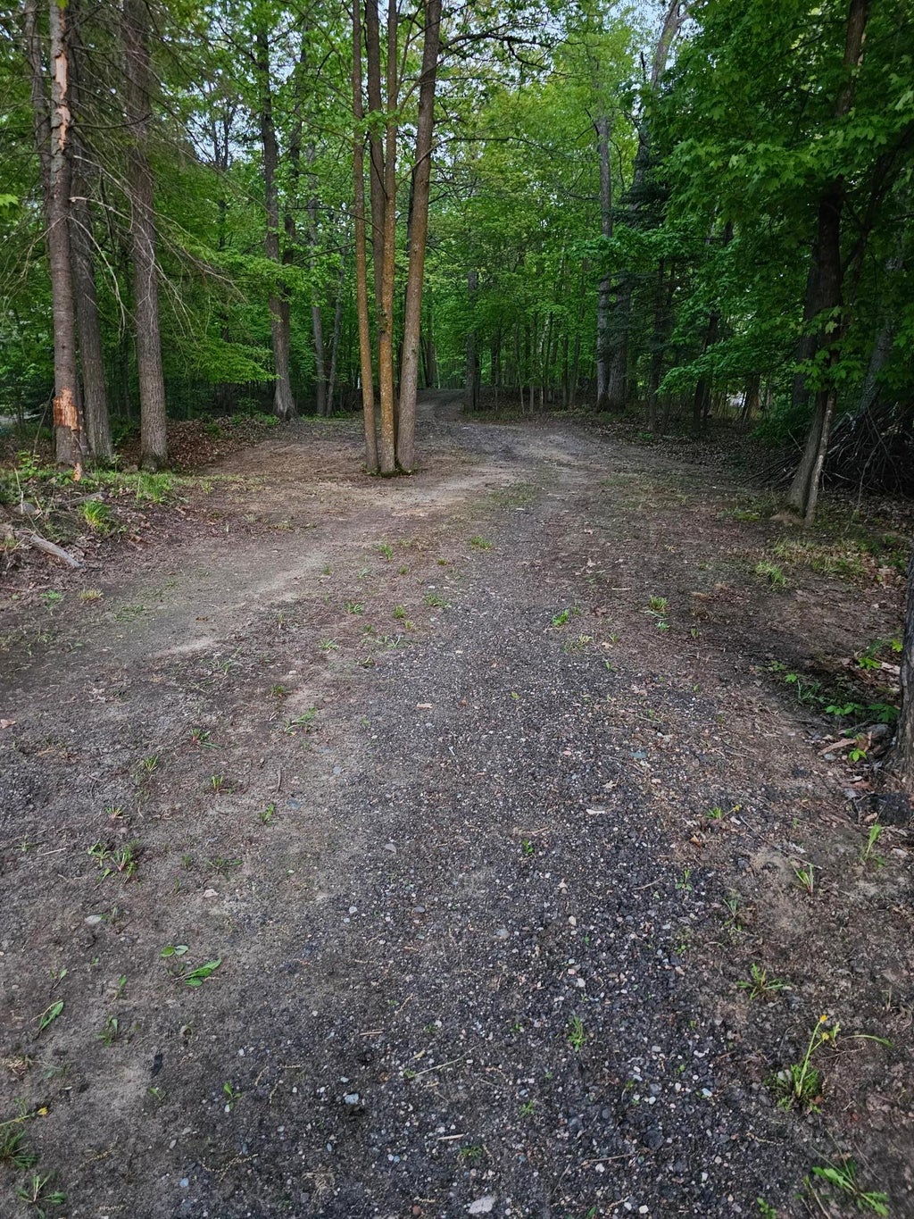 Photo of tbd Girl Lake Trail NE Trail NE, Longville, MN 56655 (MLS # 7137936)