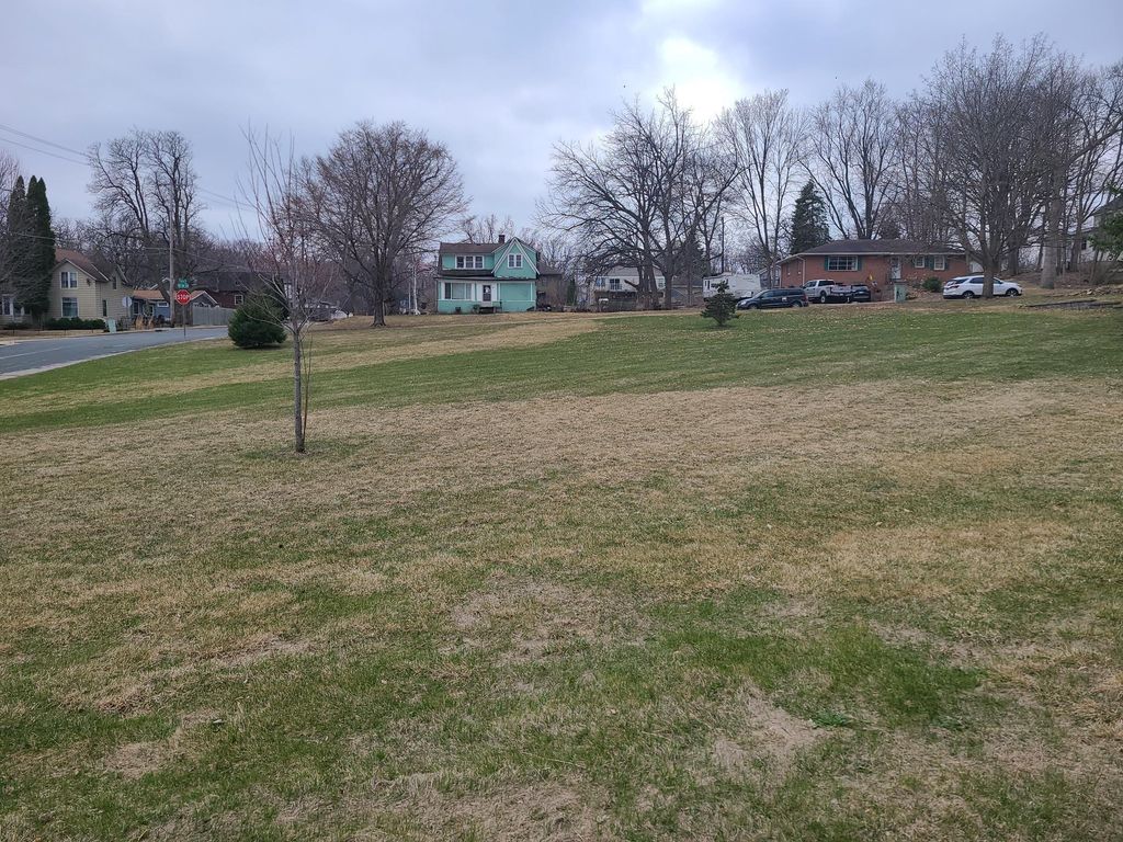 Photo of 4XX Spring Street, Hastings, MN 55033 (MLS # 7047262)