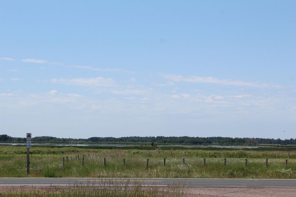 Photo of XXX Hwy 87/Bucklund Road, Grantsburg, WI 54840 (MLS # 7012973)