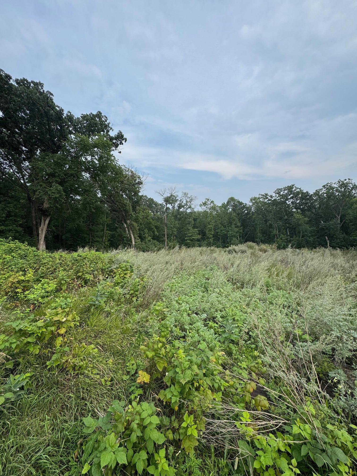 TBD N Fox Lake Lane