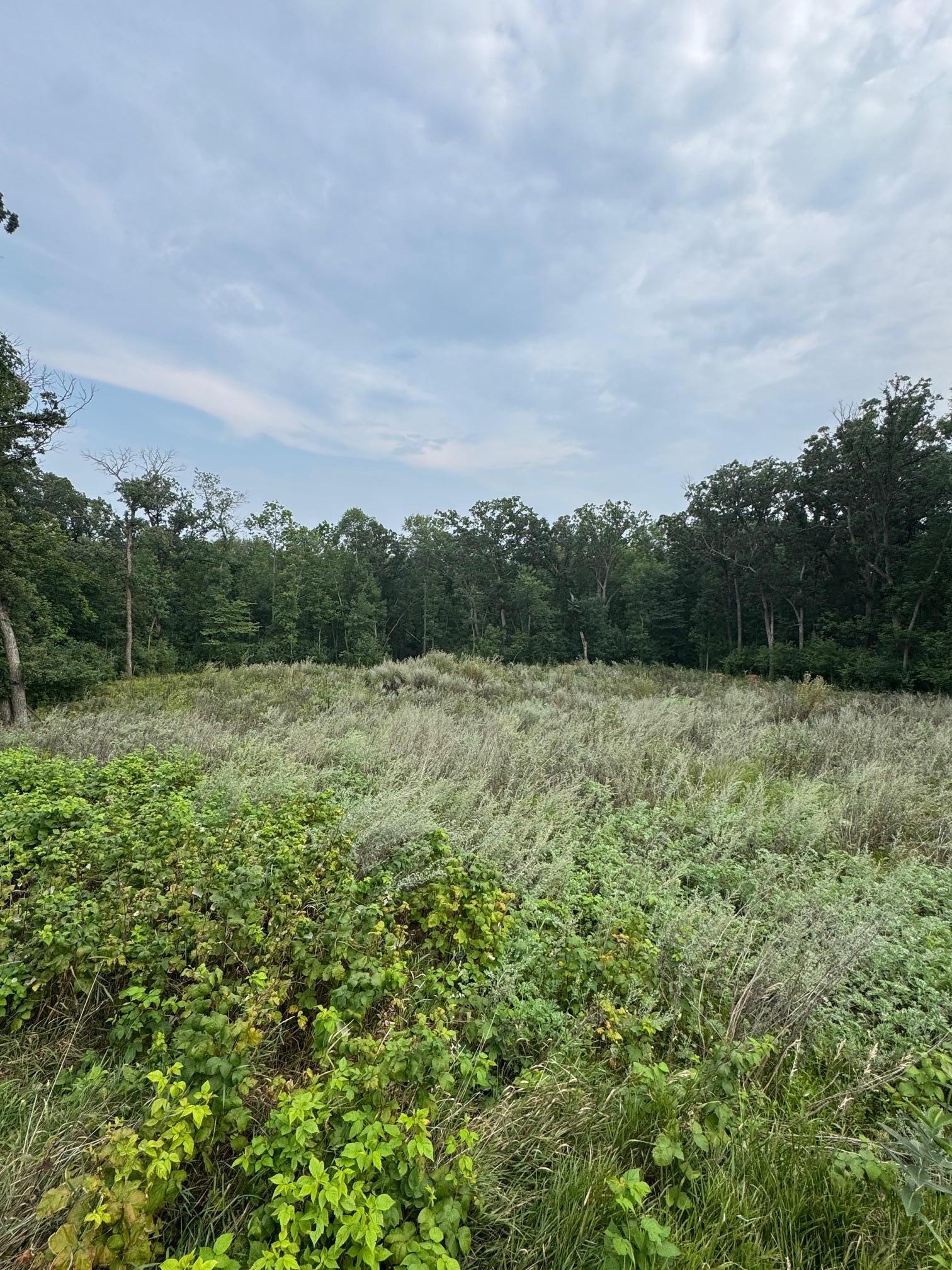 TBD N Fox Lake Lane