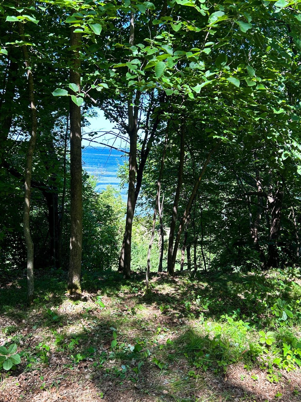 Photo of 49137 360th Street, New York Mills, MN 56567 (MLS # 7028078)