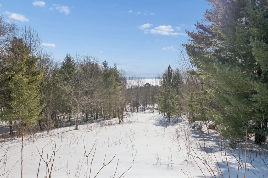 Photo of 35365 Old Orchard Lane, Bayfield, WI 54814 (MLS # 7022998)