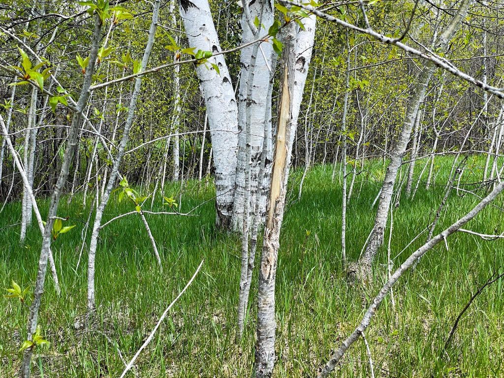 Photo of TBD 15th Street NW, Bemidji, MN 56601 (MLS # 7040581)