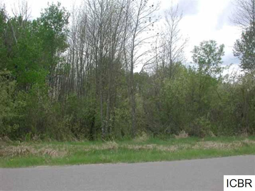 Photo of Lt 4 Blk 4 ASPEN DR, Deer River, MN 56636 (MLS # 7008526)