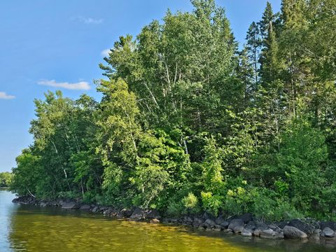500 Bufflehead Lane NW Walker MN 56484