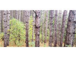 Lot 3 Paulsen Lake Lane