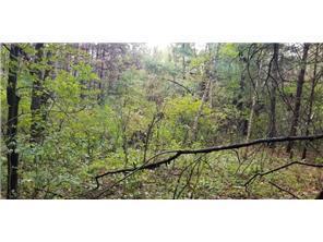 Lot 3 Paulsen Lake Lane