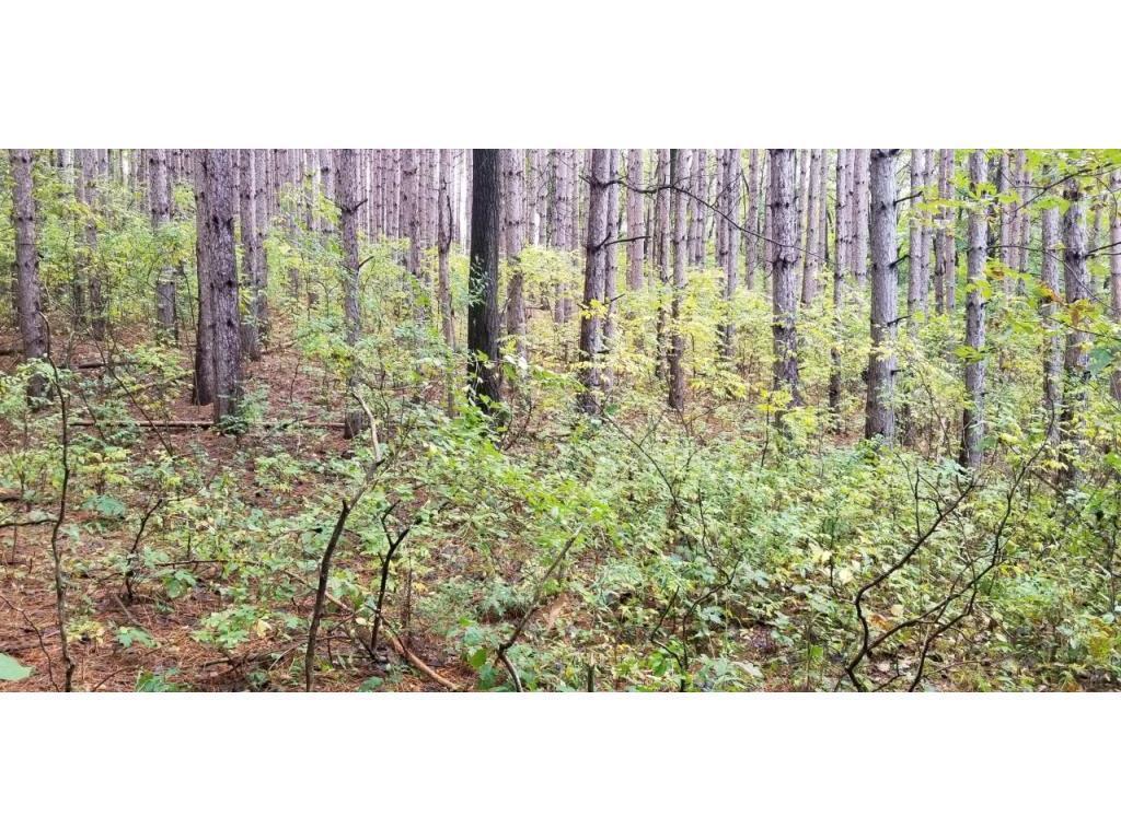 Lot 3 Paulsen Lake Lane