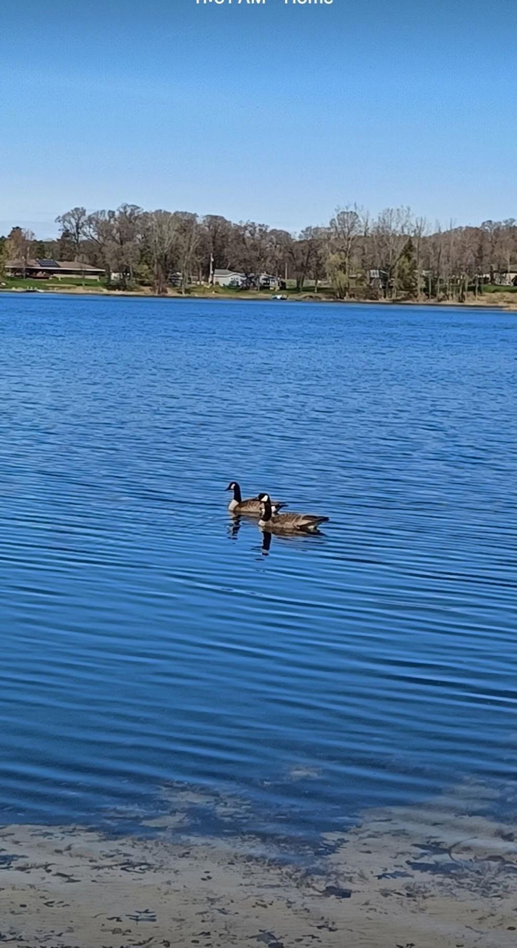 Photo of 28004 133 1/2 Street NW, Zimmerman, MN 55398 (MLS # 7038475)