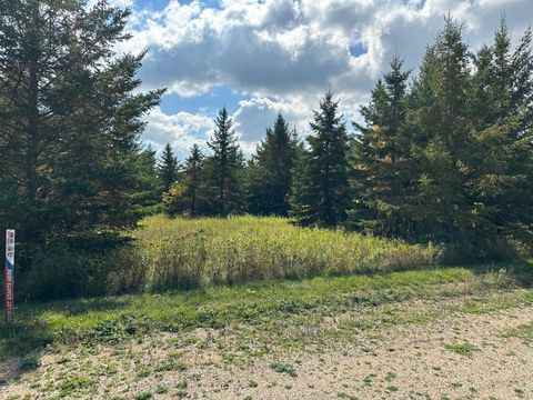 26785 Lidstrom Road Detroit Lakes MN 56501