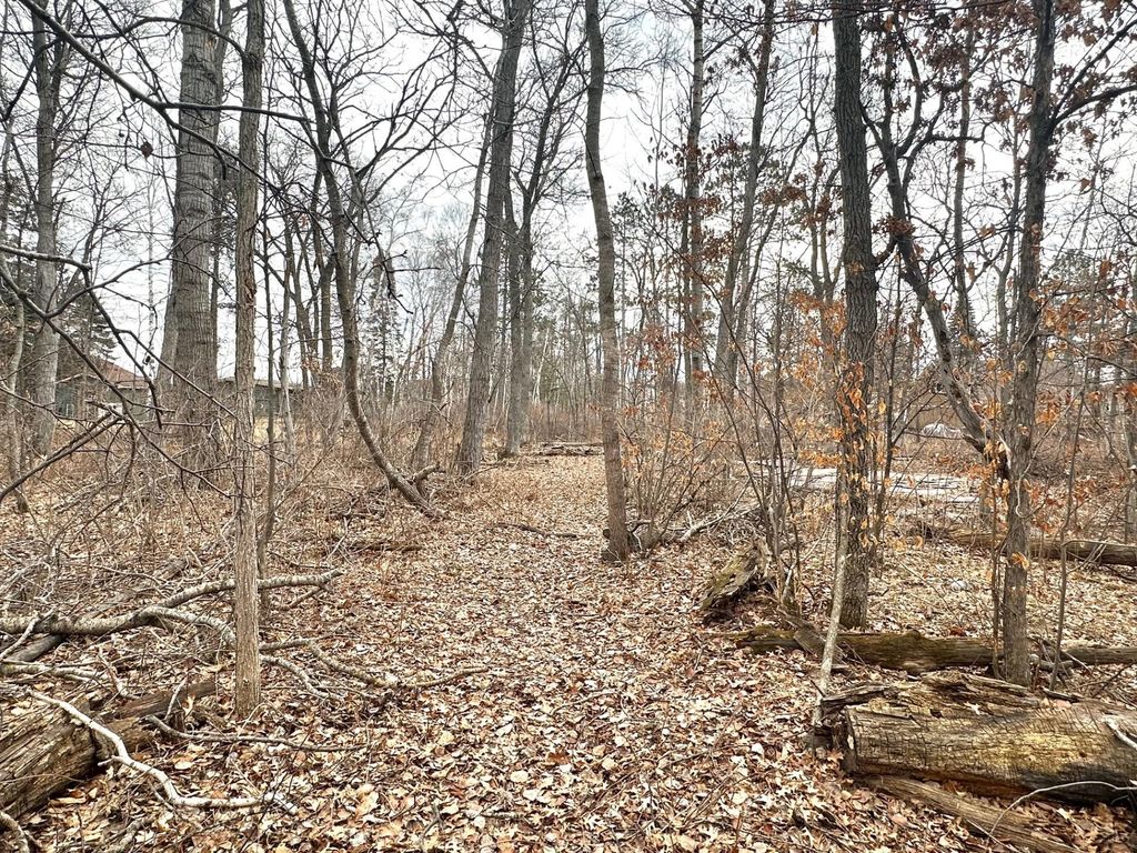 Photo of 30476 Terminal Road, Pequot Lakes, MN 56472 (MLS # 7040381)