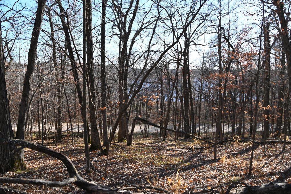 Photo of TBD 392 Street, Fawn Lake Twp, MN 56438 (MLS # 6813108)