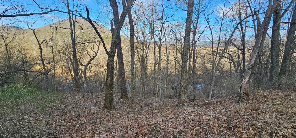 Photo of 5452 Oak Forest Lane, Houston, MN 55943 (MLS # 7049072)