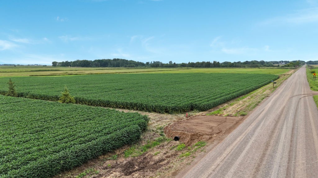 Photo of TBD 115th Street NE, Foley, MN 56329 (MLS # 7127664)