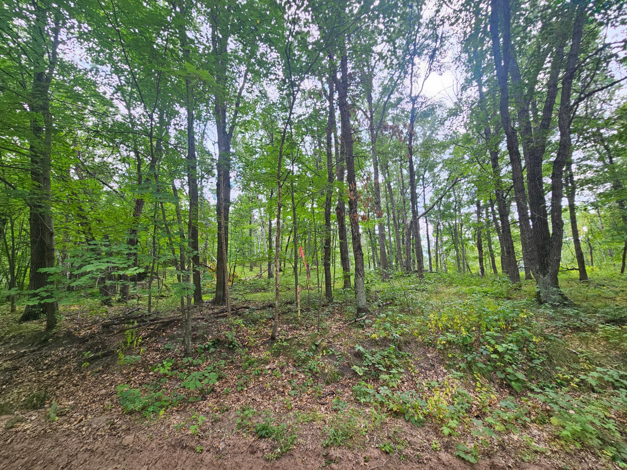 TBD Tract B Richfield Road SW