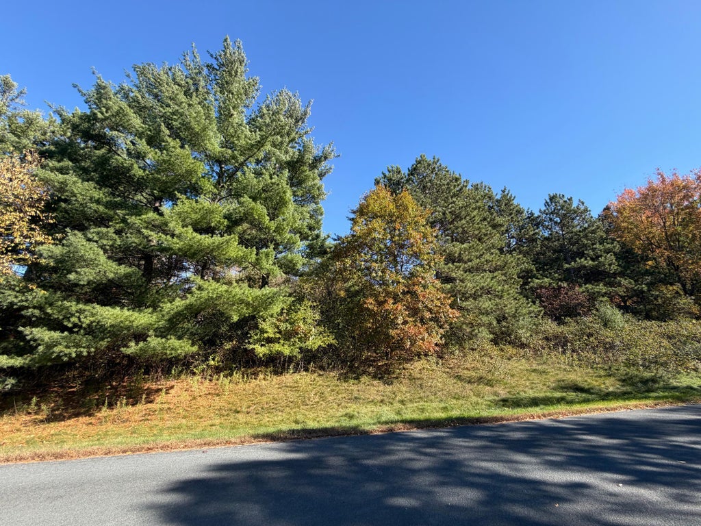 Photo of TBD Delong Road, Somerset, WI 54020 (MLS # 7153623)