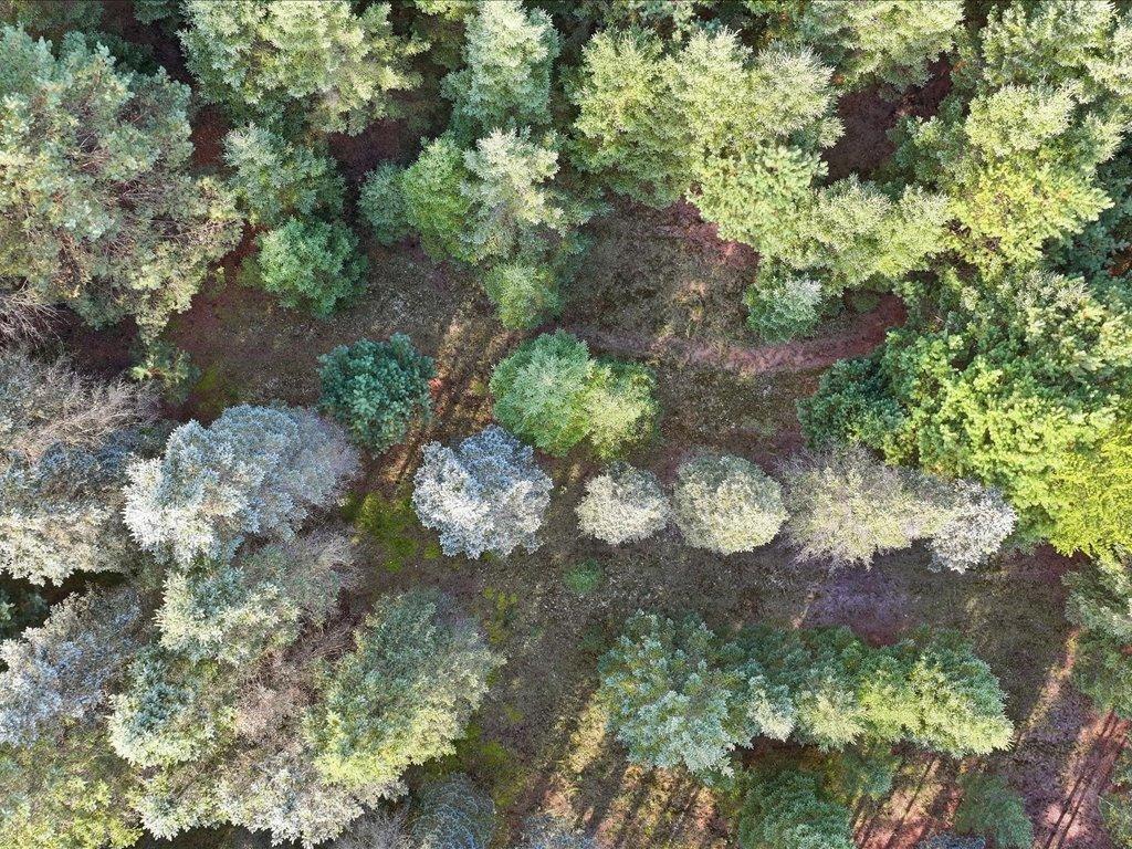 Parcel 5 (5 Acres) 255th Avenue