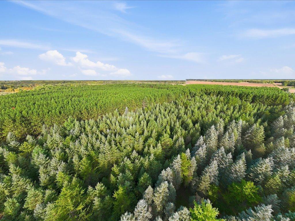 Parcel 5 (5 Acres) 255th Avenue