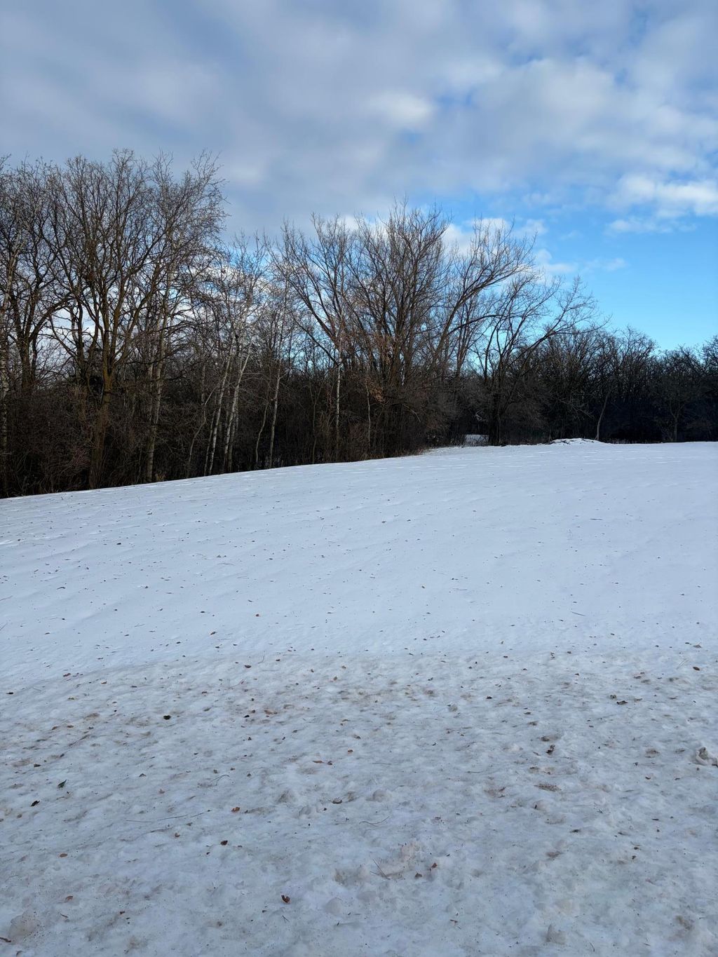 Photo of 3.38 AC Northside Drive NE, Alexandria, MN 56308 (MLS # 7001154)