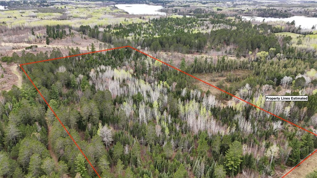 Photo of TBD Scout Camp Road, Eveleth, MN 55734 (MLS # 7076381)
