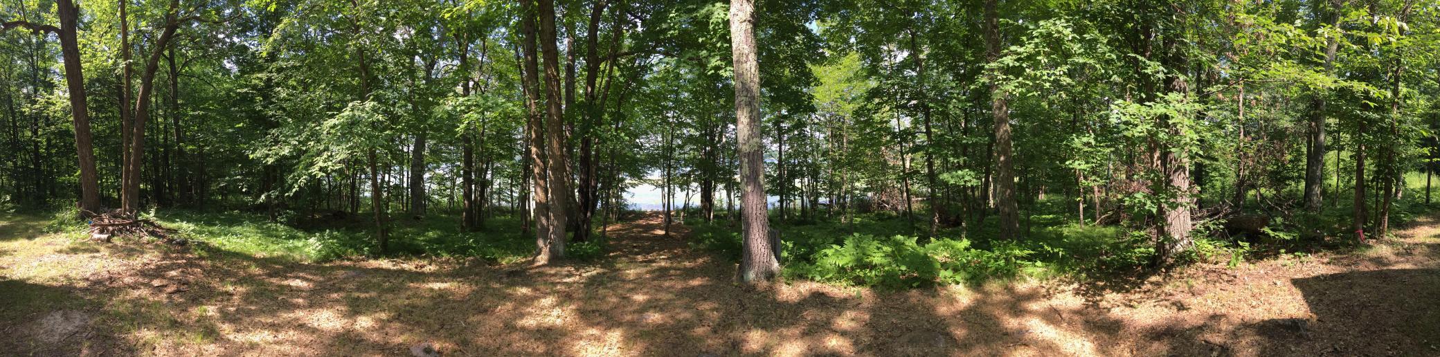 Tract 1 Lower Larson Lake Road NW
