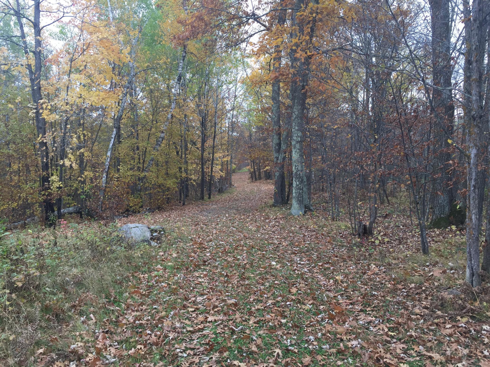 Tract 1 Lower Larson Lake Road NW