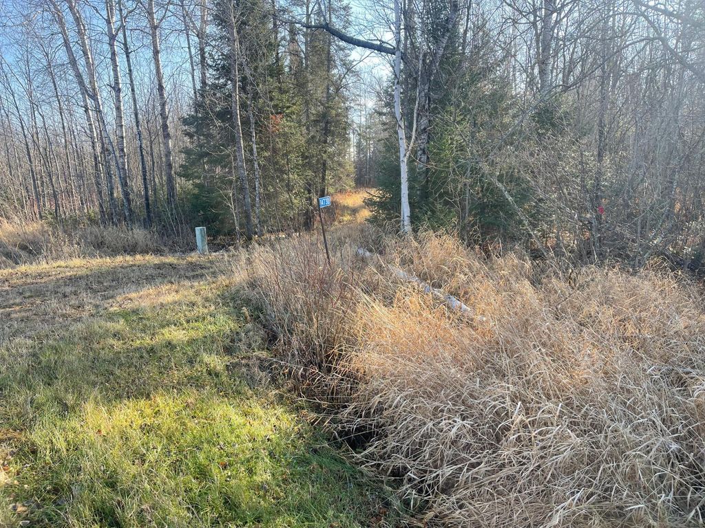 Photo of 14730 Cr-25, Wawina Twp, MN 55736 (MLS # 6823222)