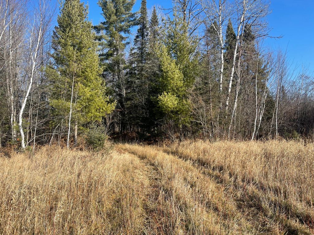 Photo of 14730 Cr-25, Wawina Twp, MN 55736 (MLS # 6823222)