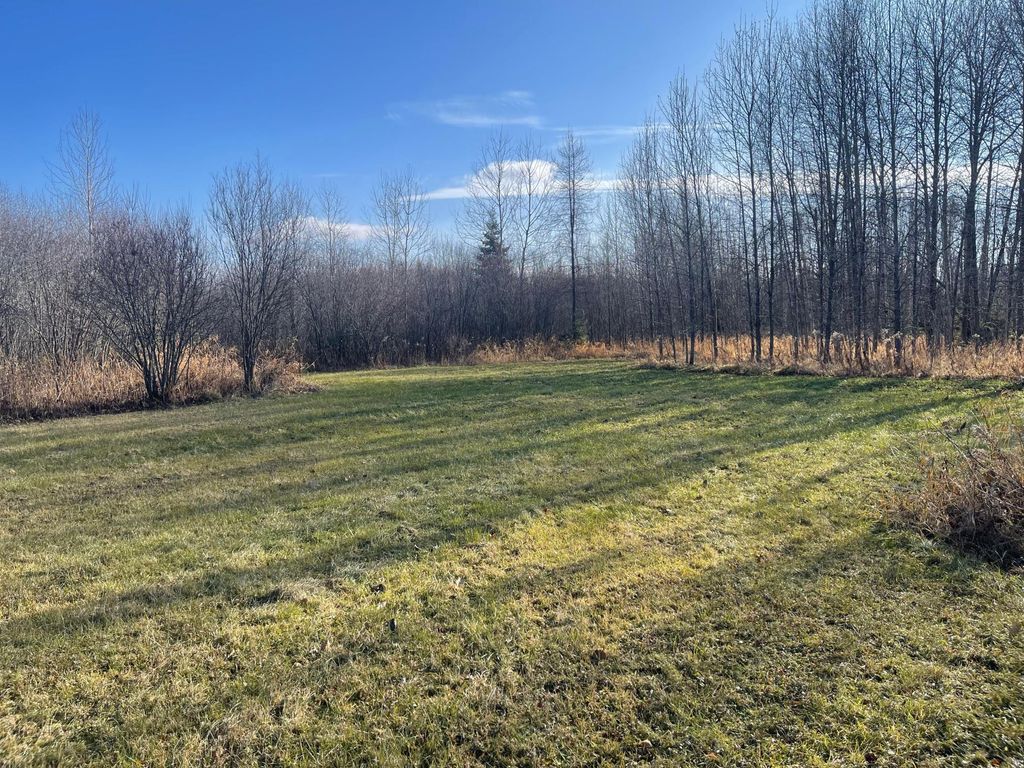 Photo of 14730 Cr-25, Wawina Twp, MN 55736 (MLS # 6823222)