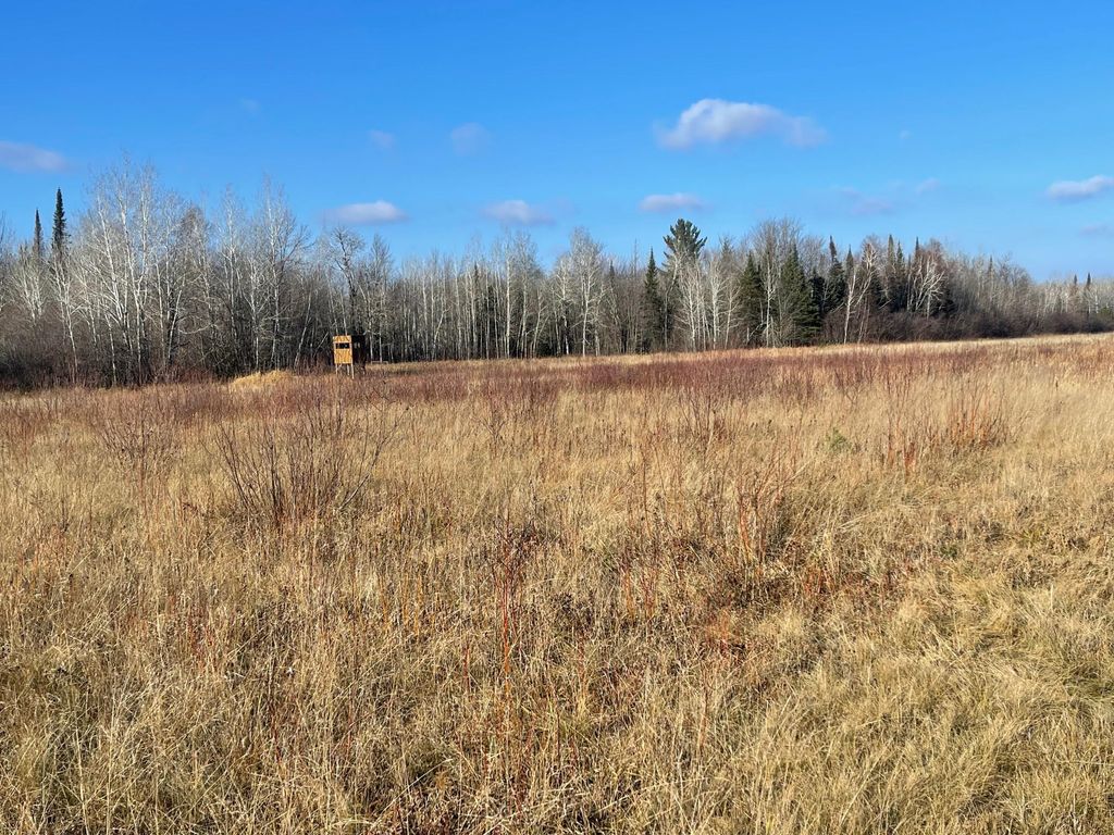 Photo of 14730 Cr-25, Wawina Twp, MN 55736 (MLS # 6823222)