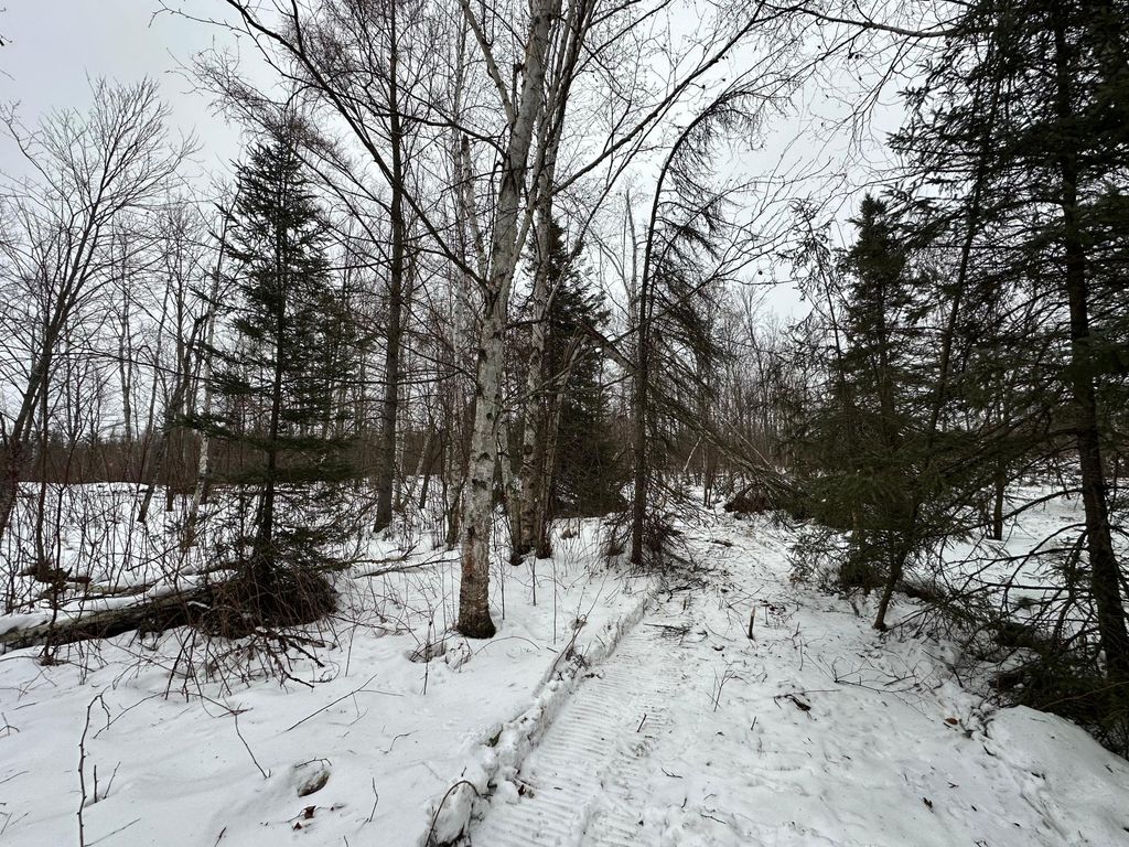 Photo of TBD #4 Koecher Road, Kerrick Twp, MN 55756 (MLS # 7002700)